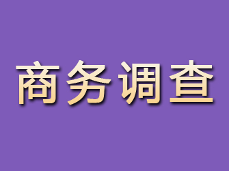 于田商务调查